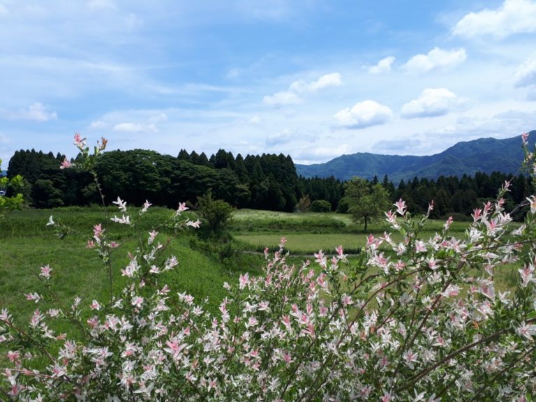 当社工房のある熊本県南阿蘇村に行って参りました